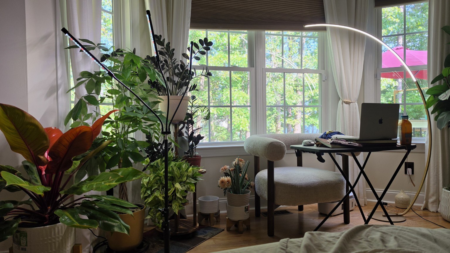 A sunny window corner full of houseplants with a reading chair